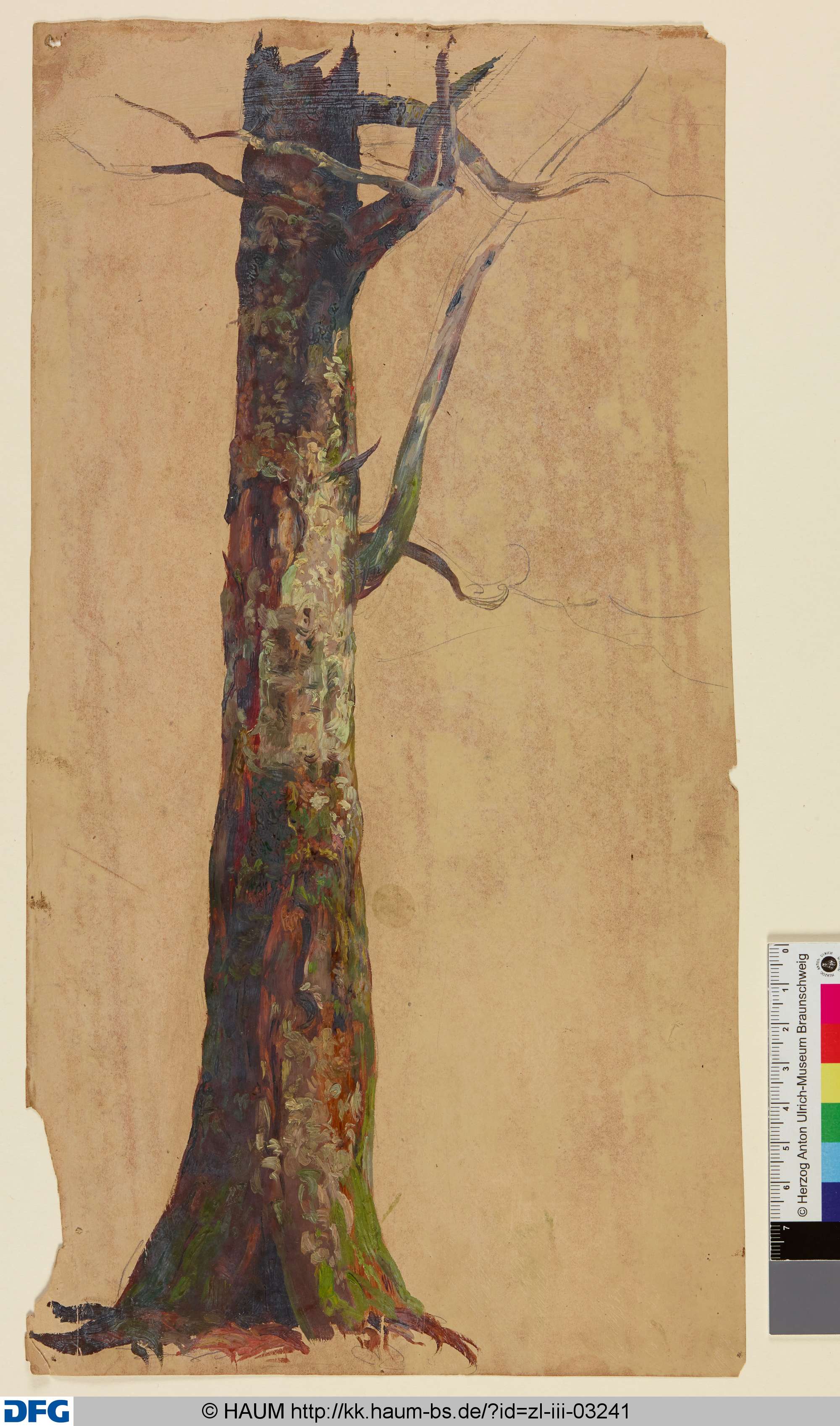Studie zu einem Baumstamm, Christian Tunica, 1815–1868