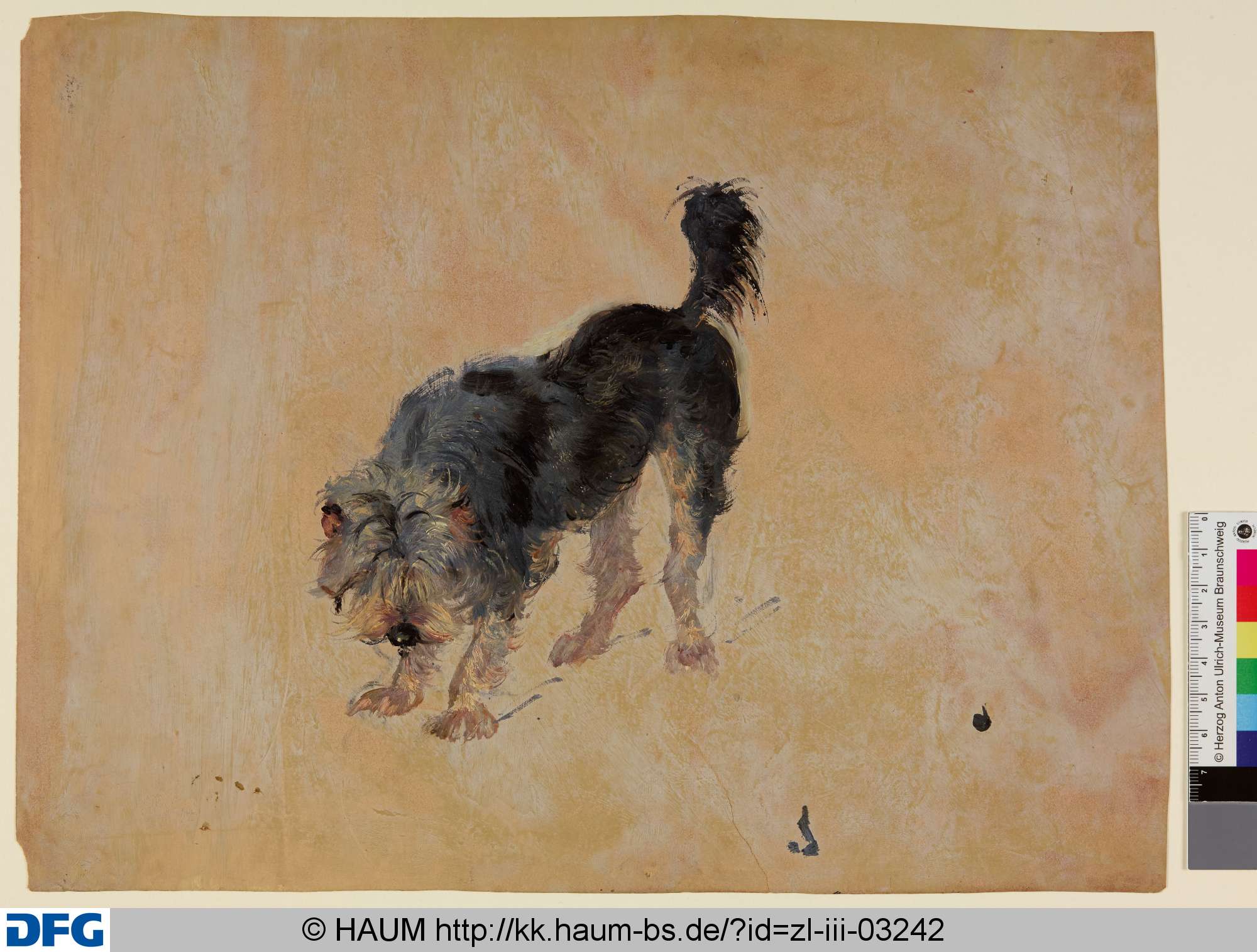 Stehender Hund von vorn, Christian Tunica, 1815–1868