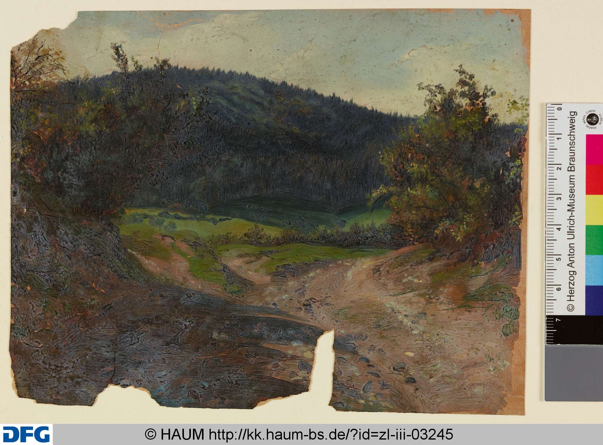 Landschaft mit Wald und Weg, Christian Tunica, 1815–1868