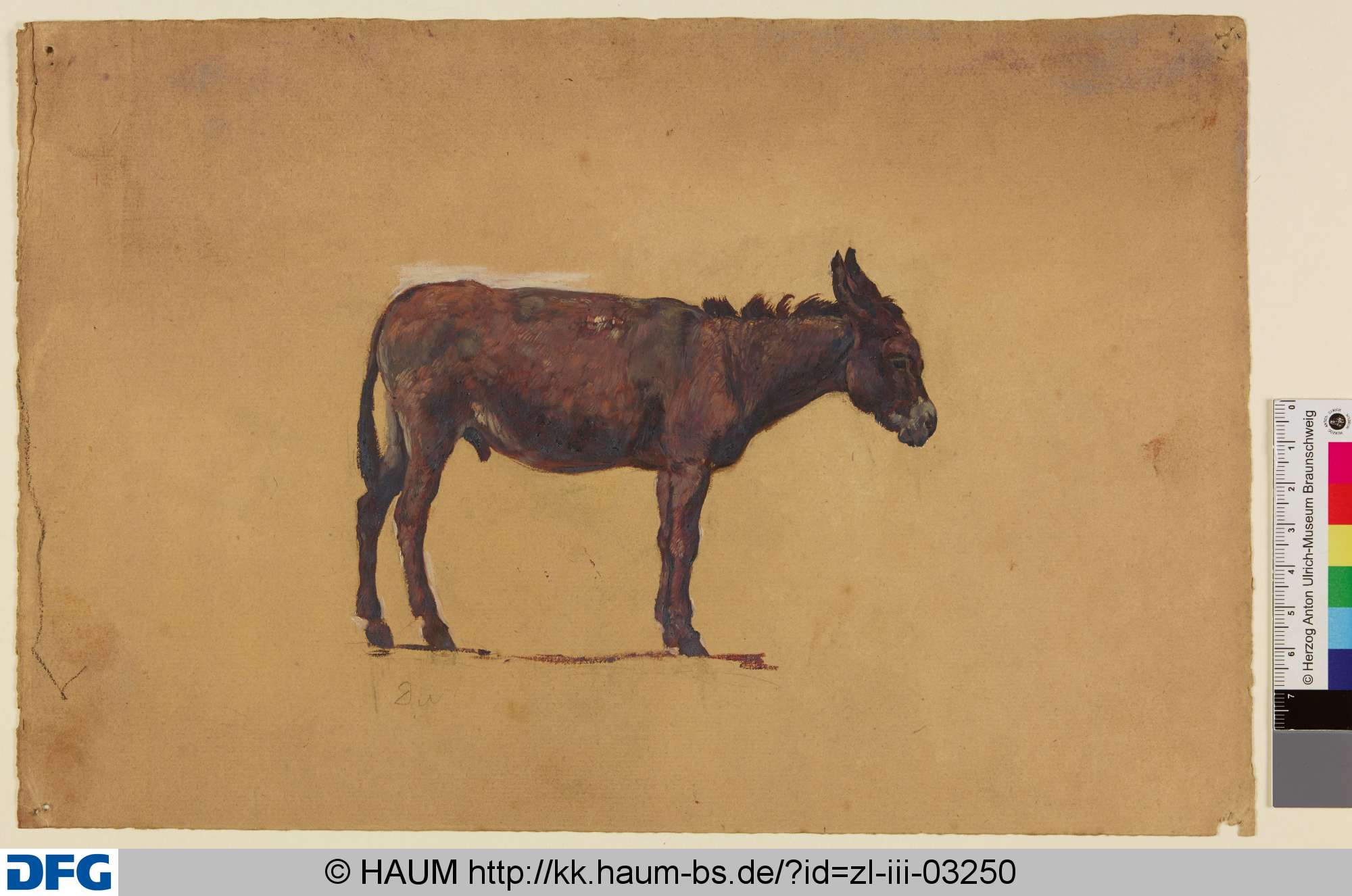 Esel von der Seite, Christian Tunica, 1815–1868