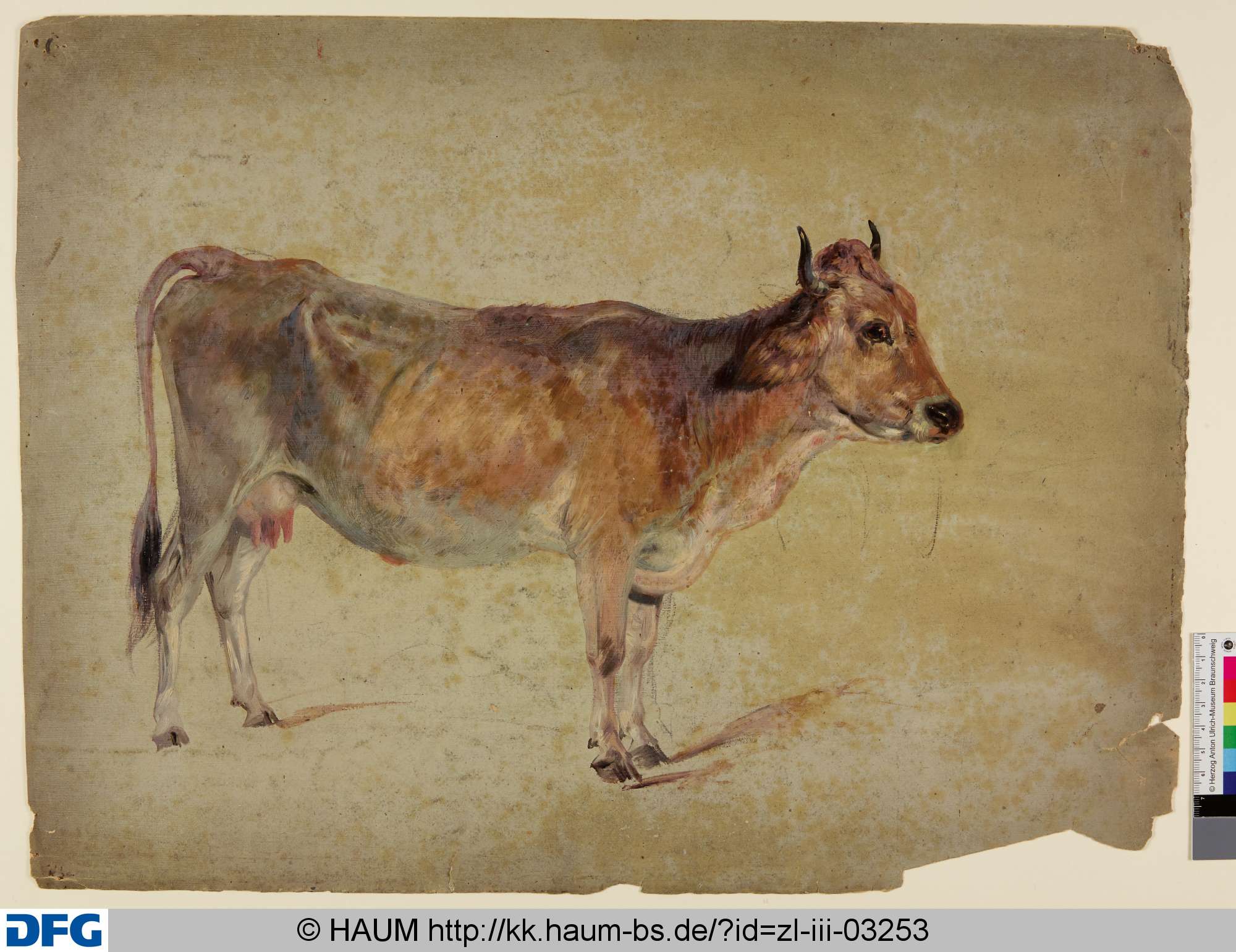 Stehende Kuh von der Seite, Christian Tunica, 1815–1868