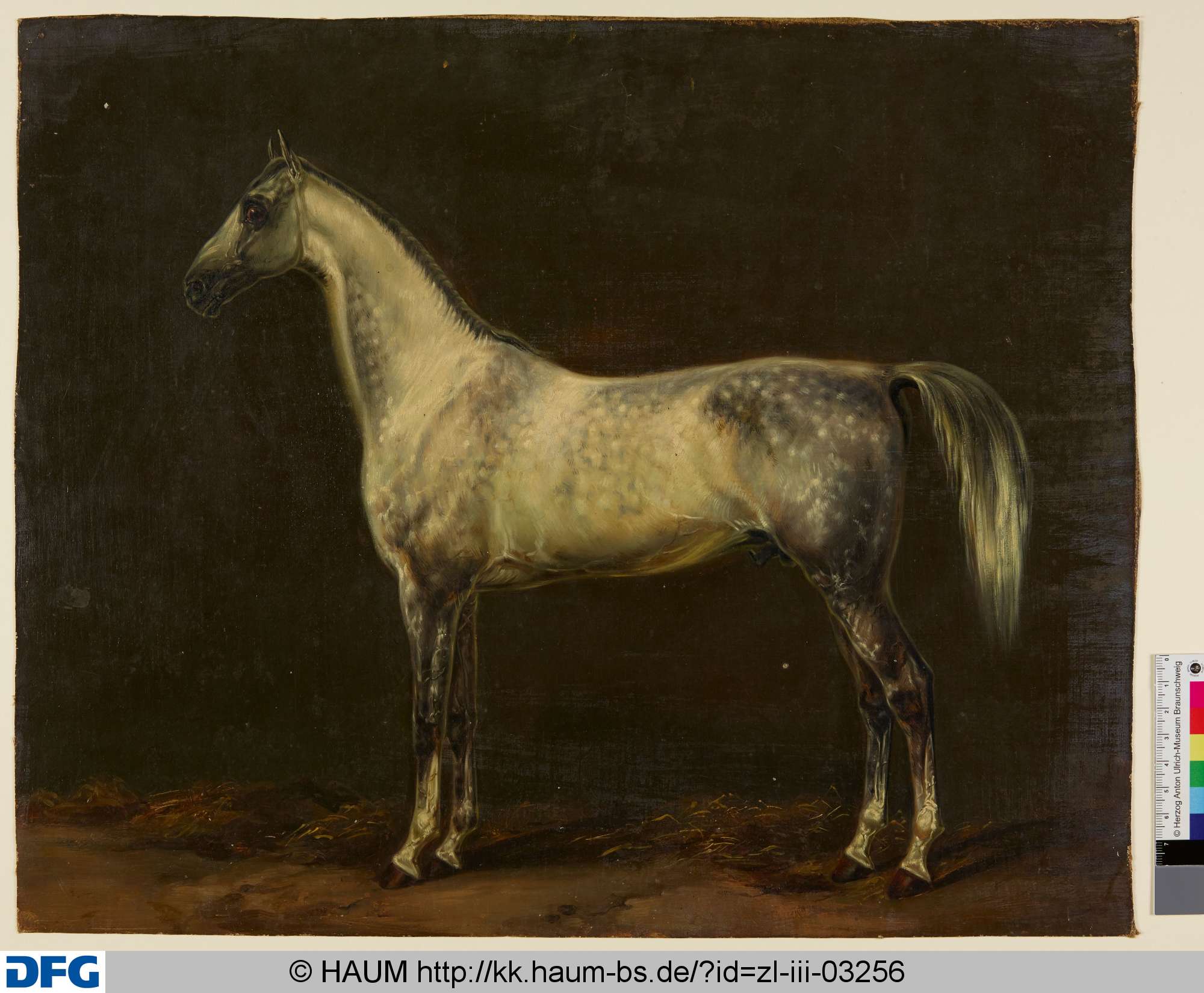 Stehendes Pferd von der Seite, Christian Tunica, 1815–1868