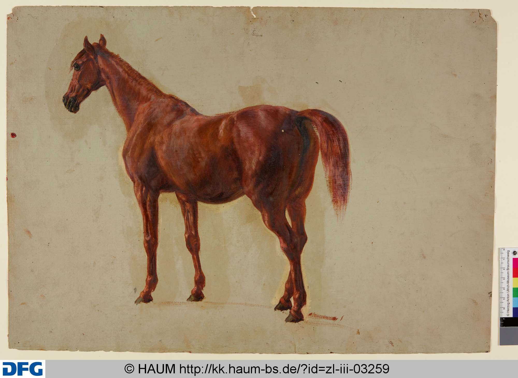 Stehendes Pferd von der Seite, Christian Tunica, 1815–1868