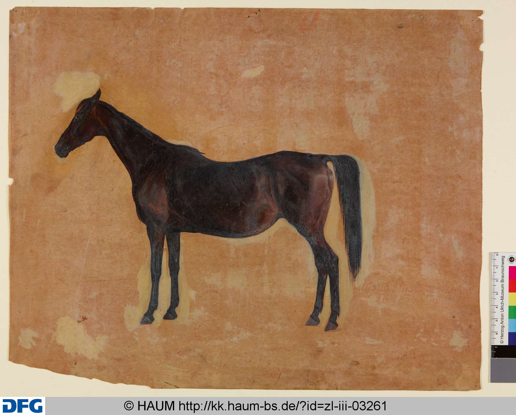 Stehendes Pferd von der Seite, Christian Tunica, 1815–1868