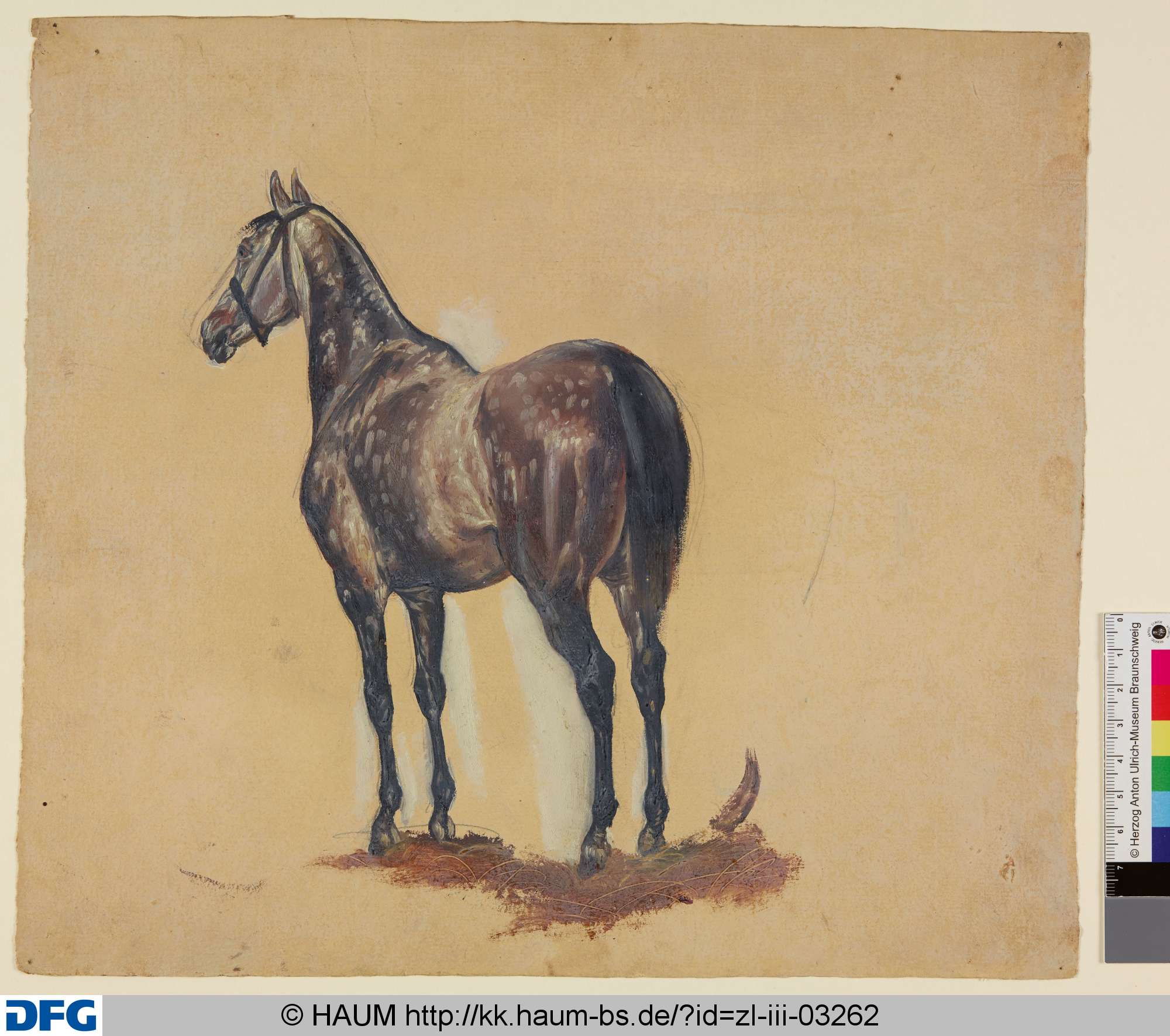 Stehendes Pferd von Hinten, Christian Tunica, 1815–1868