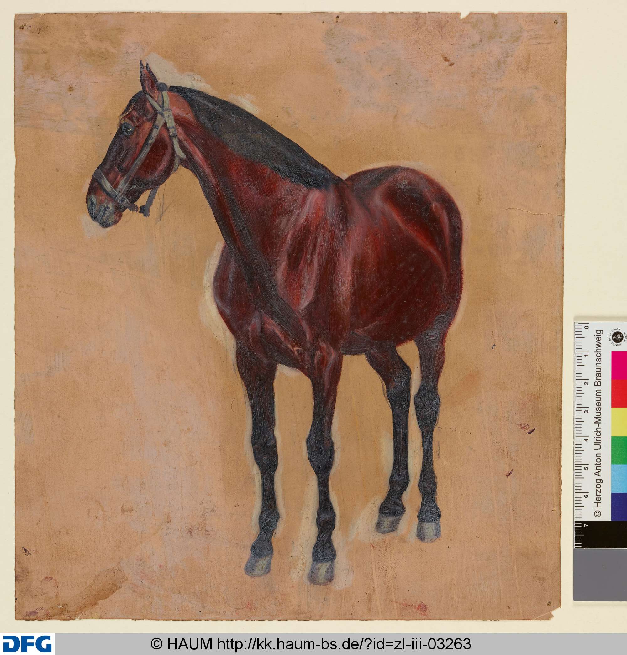 Stehendes Pferd von vorn, Christian Tunica, 1815–1868