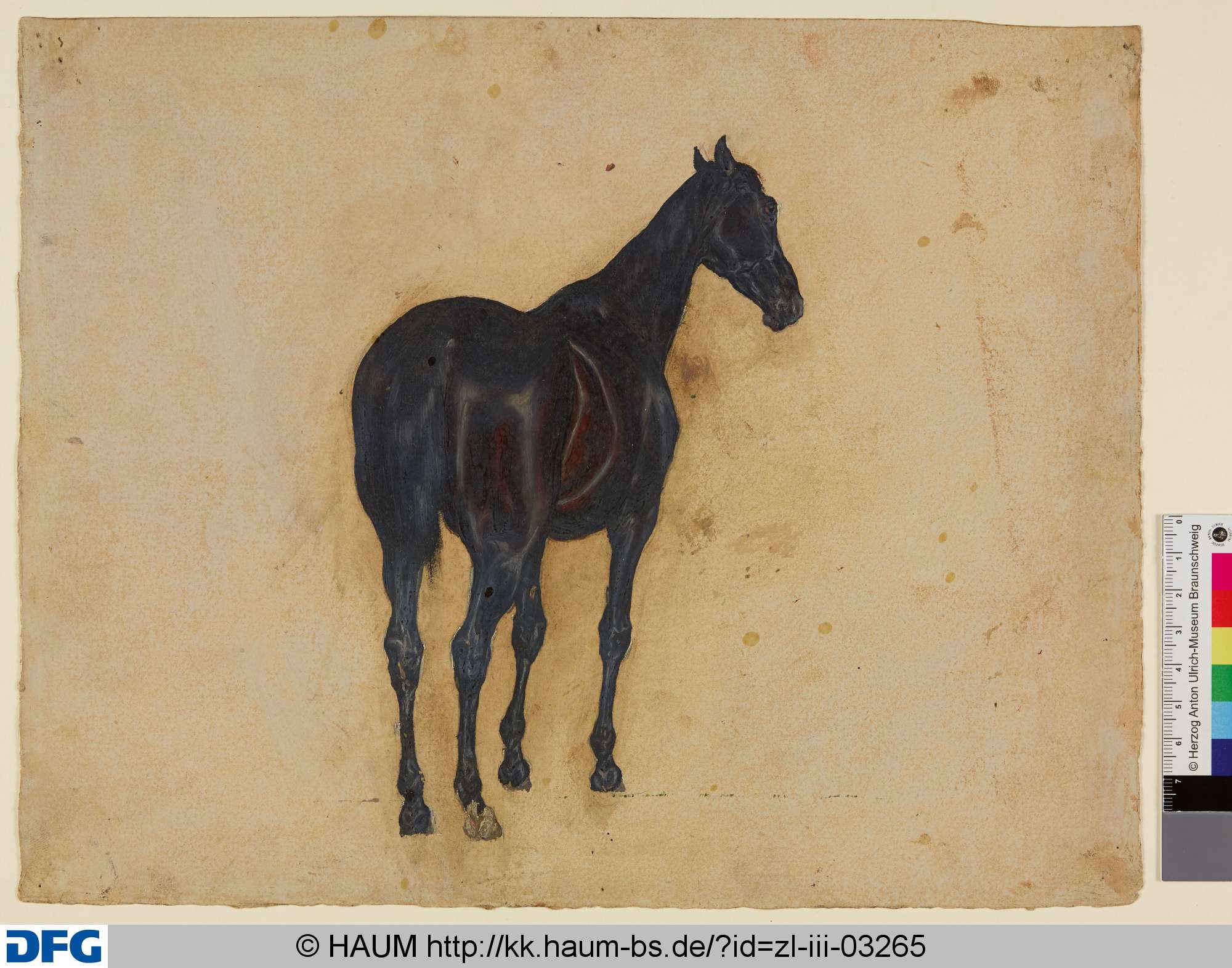 Stehendes Pferd von Hinten, Christian Tunica, 1815–1868