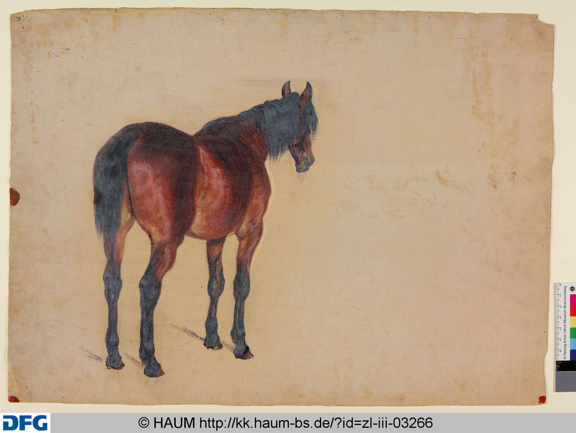 Stehendes Pferd von Hinten, Christian Tunica, 1815–1868