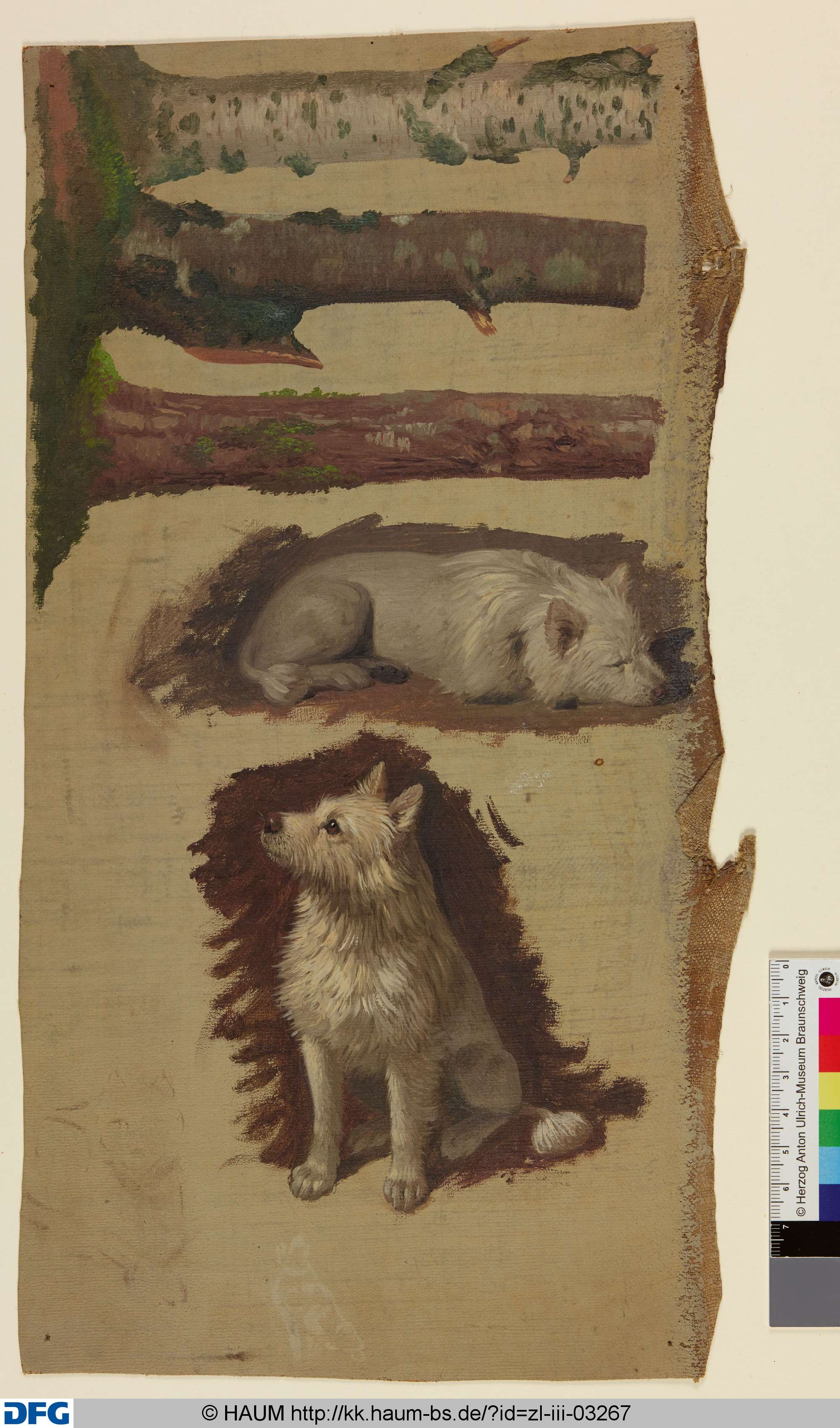 Studien zu verschiedenen Baumstämmen und zu einem Hund, Christian Tunica, 1815–1868