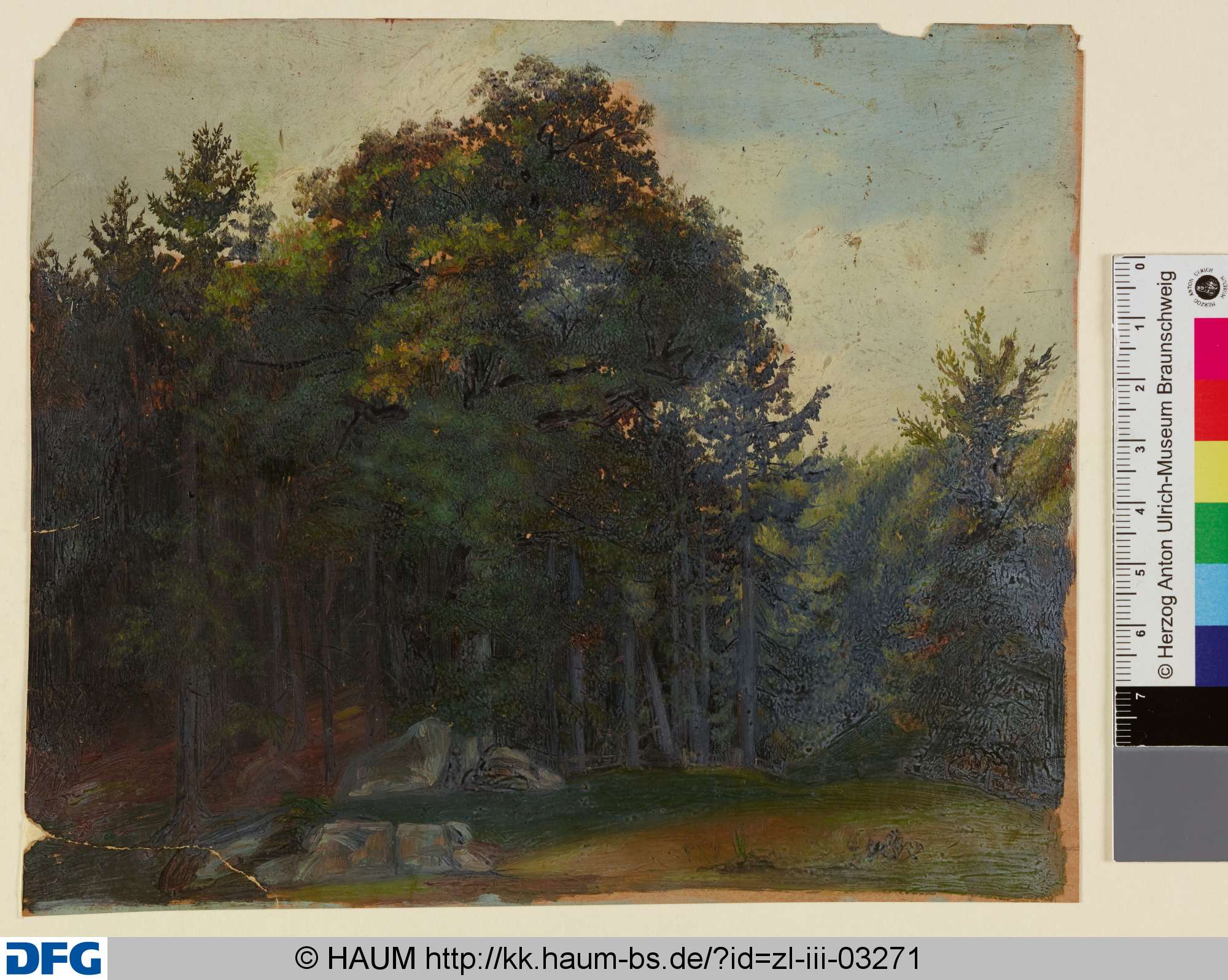 Blick auf einen Waldrand, Christian Tunica, 1815–1868