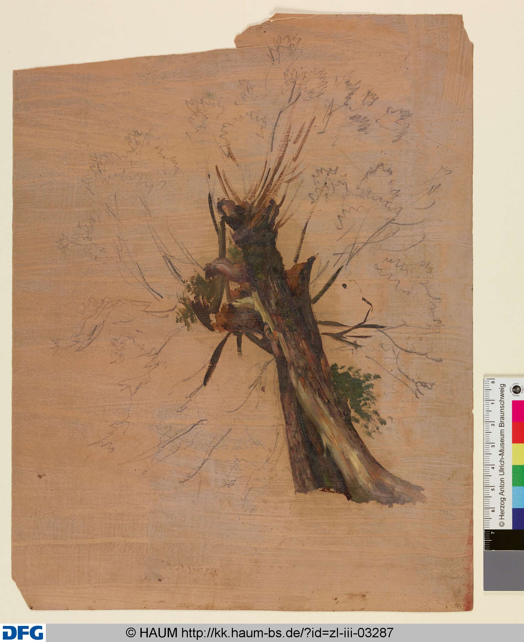 Stehendes Pferd von vorn, Christian Tunica, 1815–1868