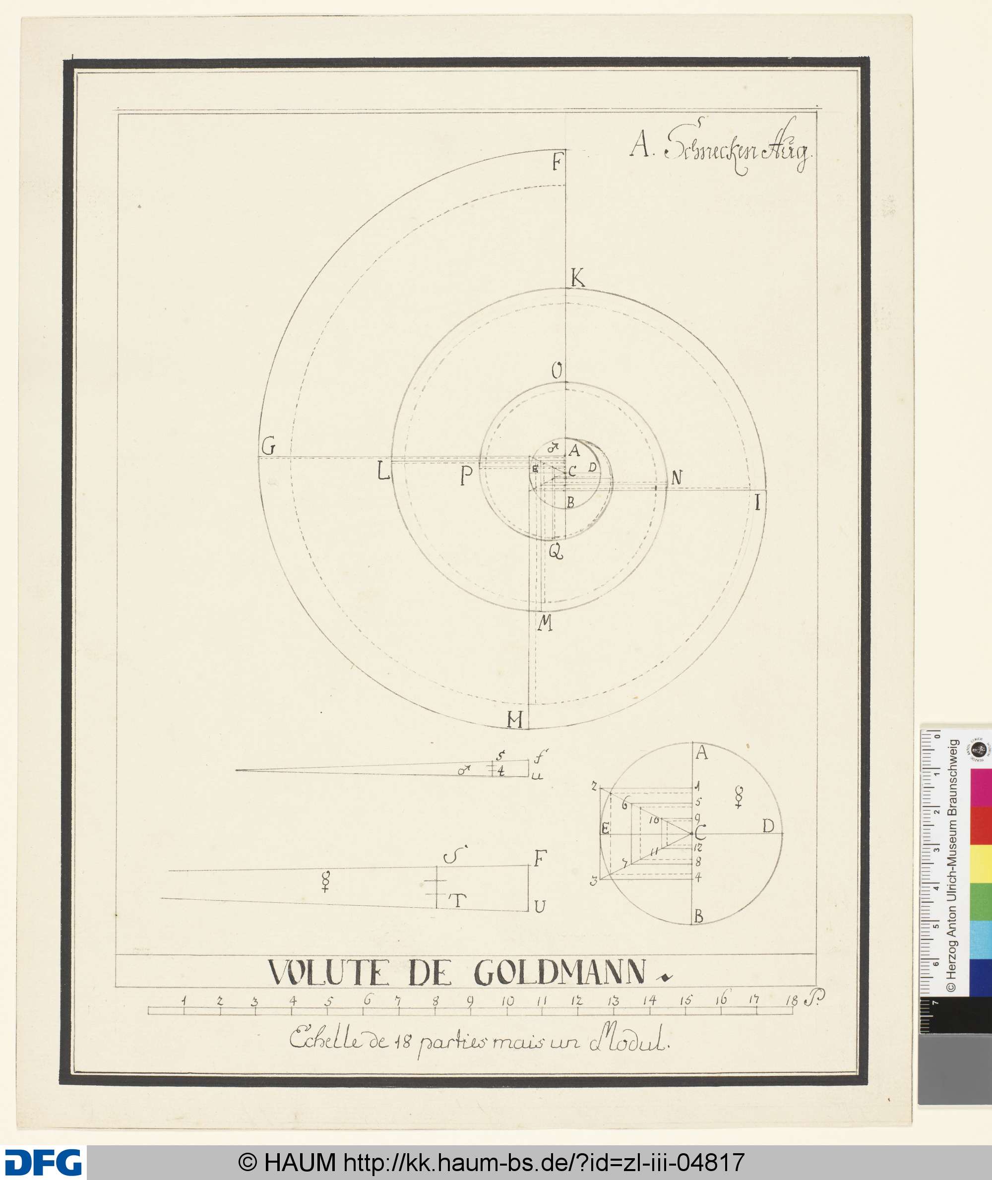 VOLUTE DE GOLDMANN, Johann Wilhelm Meil, 1753–1805